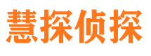 大悟市私家侦探